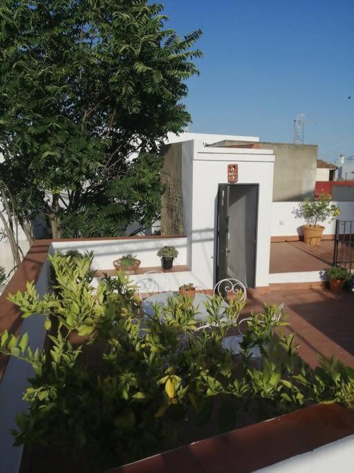 Apartamento El Sosiego Sanlucar de Barrameda Exterior photo